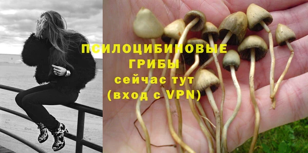 мяу мяу мука Алзамай